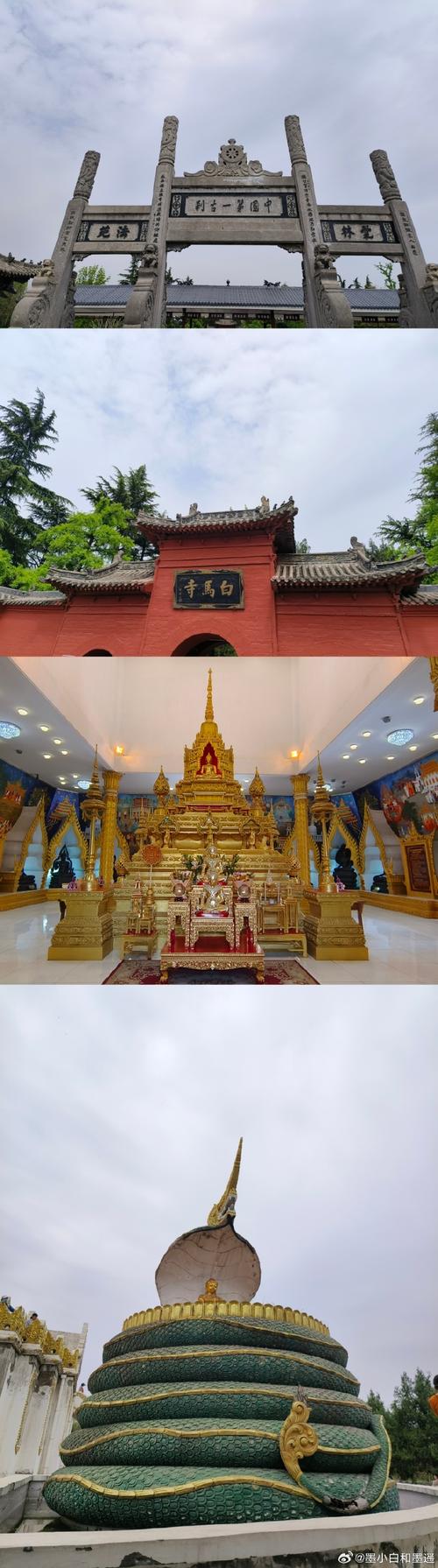 洛阳##洛阳牡丹文化节##旅游