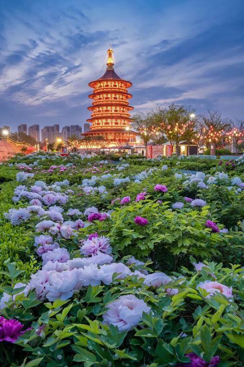 跟闺蜜假期去河南旅游攻略,河南洛阳旅行4天3晚全攻略