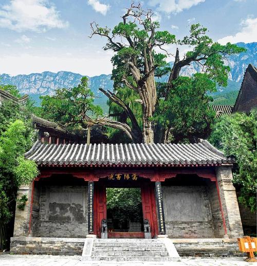 遇见黄河 洛阳文化旅游的千年回响